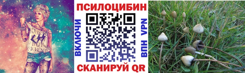 Псилоцибиновые грибы ЛСД  Красновишерск 