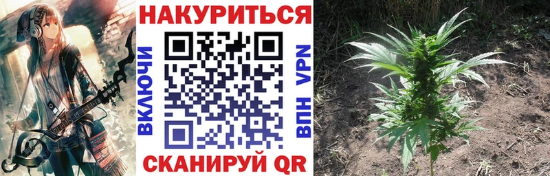 где найти   Красновишерск  Марихуана семена 